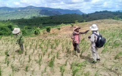 243 NPA Vietnam completes NTS in Quang Tri province 062020 Cu Dun village