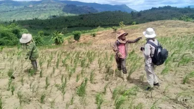 243 NPA Vietnam completes NTS in Quang Tri province 062020 Cu Dun village