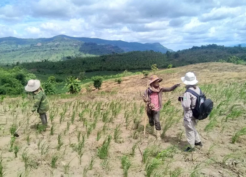 243 NPA Vietnam completes NTS in Quang Tri province 062020 Cu Dun village