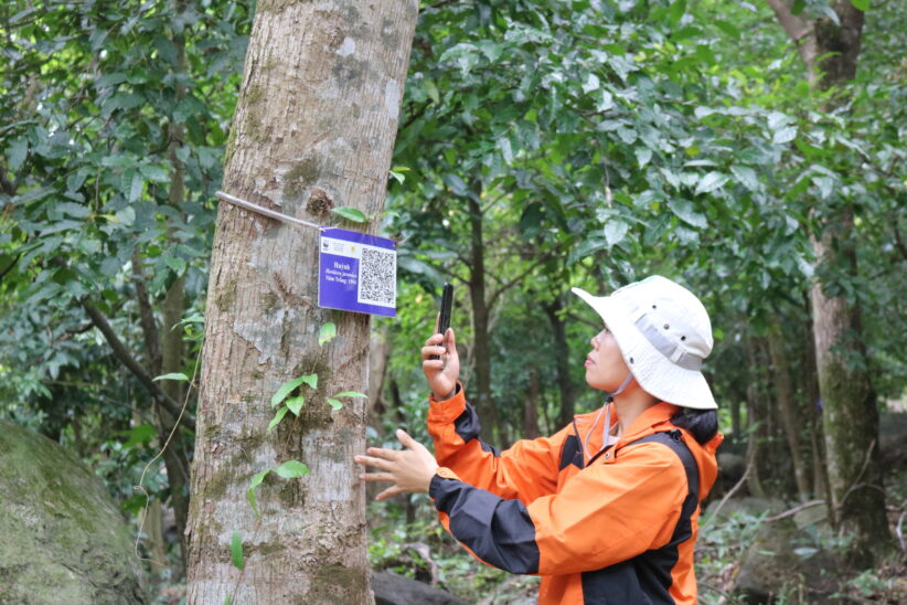 Learning by checking tree information