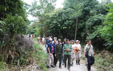 3 forest rangers lead tour